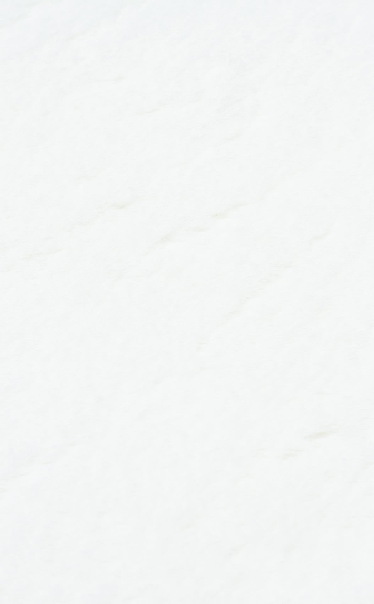 MOLLIS NEW MLS WHITE SINGLE N Yumuşak Dokulu Uzun Tüylü Yıkanabilir Tavşan Postu