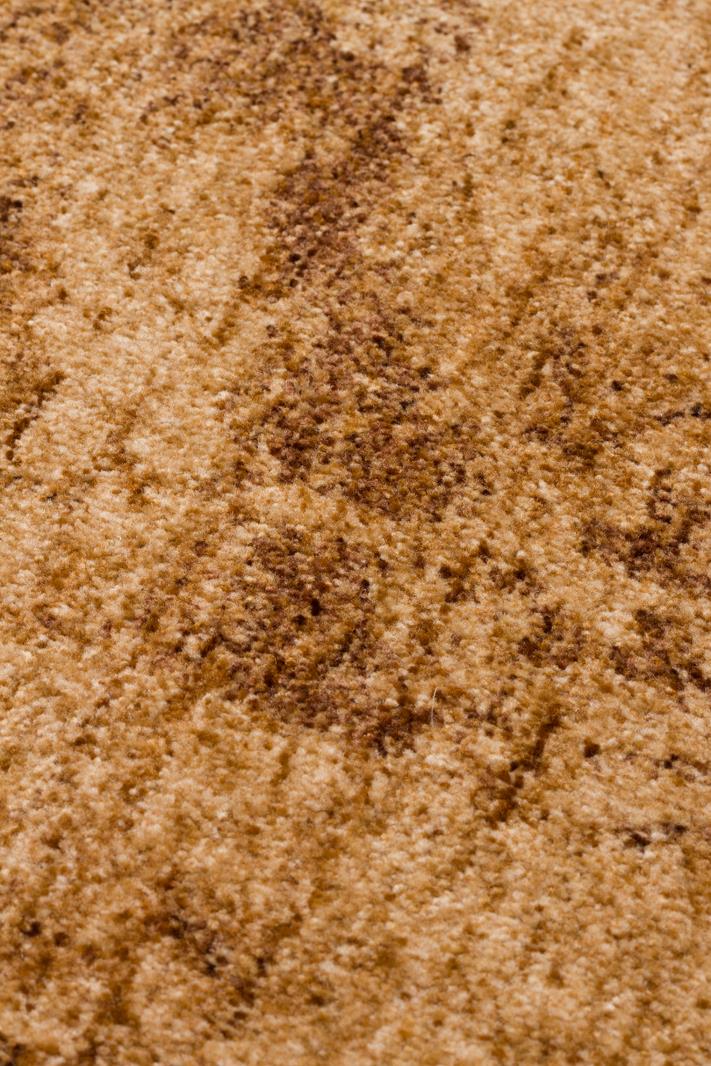 SHIRAZ SHR 01 BEIGE Vintage Eskitme Desenli Modern Yumuşak Dokulu Makine Halısı