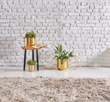 COMFORT 1006 BEIGE  Kolay Kullanımlı Hav Toz Vermez Yumuşak Dokulu Modern Pofuduk Shaggy Halı