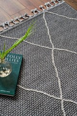 SOHO SH 02 GREY  Hav Toz Vermez Hasır Dokuma Modern Makine Halısı